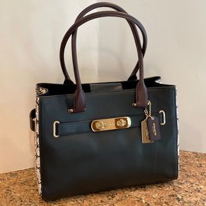 Coach Color Block Snake print Tote